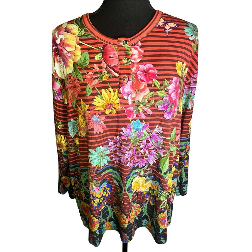 Johnny Was Los Angeles Janie Bamboo Floral Striped Tunic Top Sz L Boho Artsy
